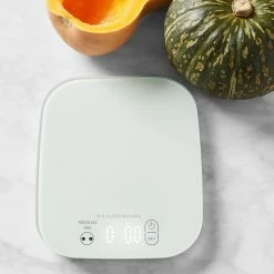 Williams Sonoma White Scale